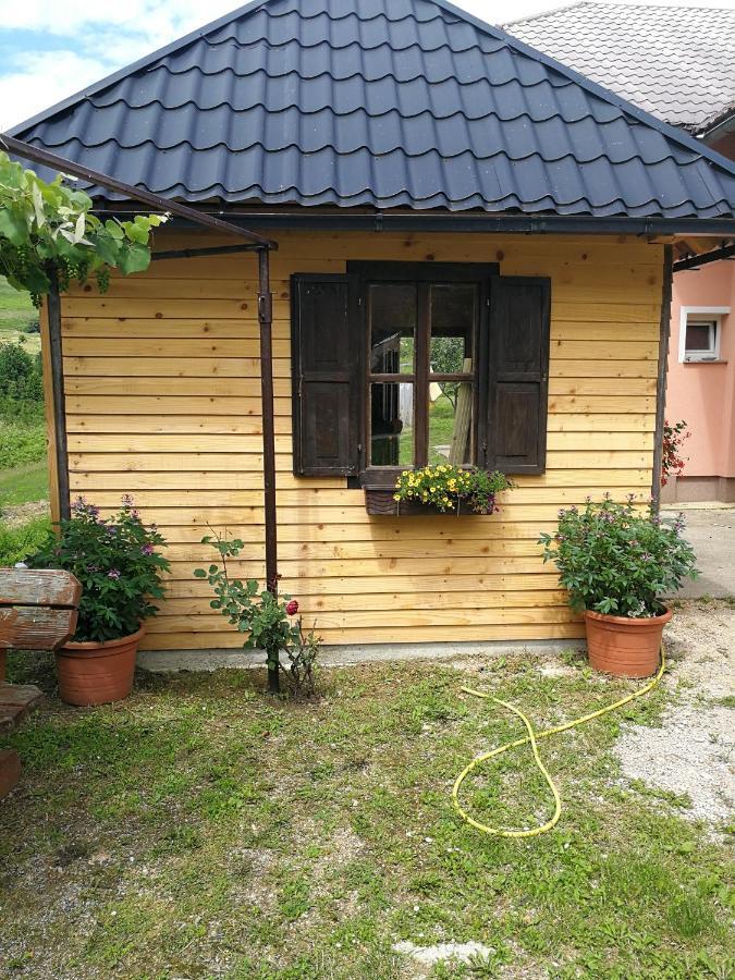 Guesthouse Blazenka Hodak Seliste Dreznicko Exterior photo